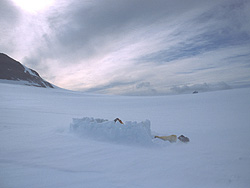 Campamento en Glaciar Dickson